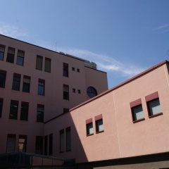 Jalousien